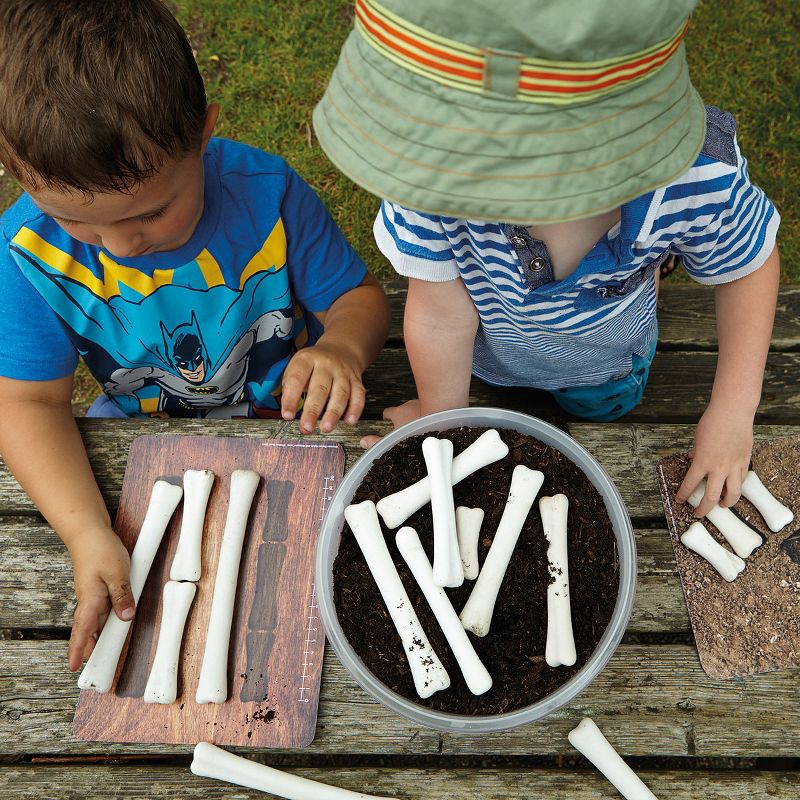 Yellow Door Dinosaur Bones Match & Measuring Set