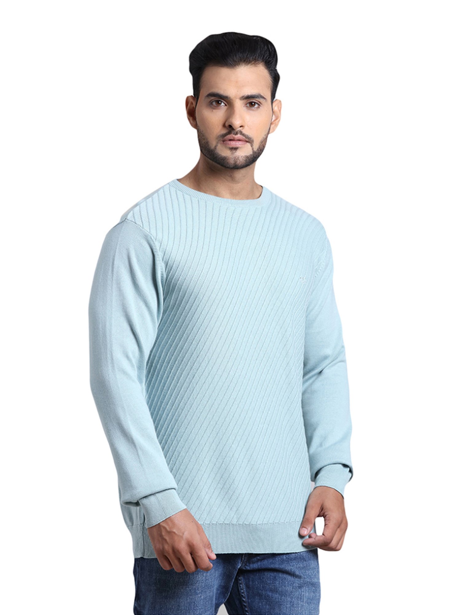 ColorPlus Blue Cotton Tailored Fit Self Pattern Sweater