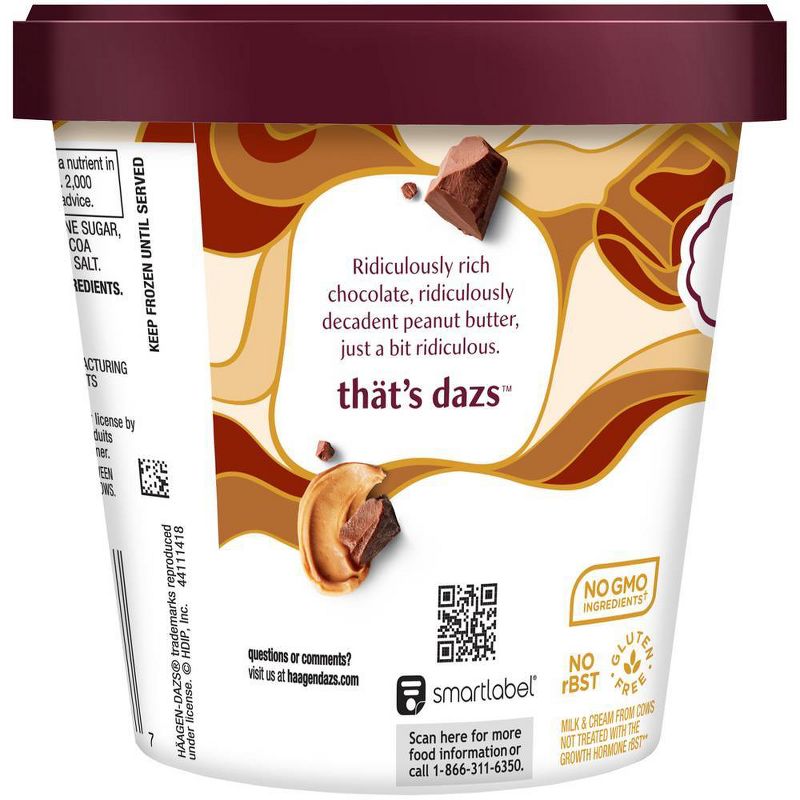 Haagen Dazs Chocolate Peanut Butter Ice Cream - 14oz