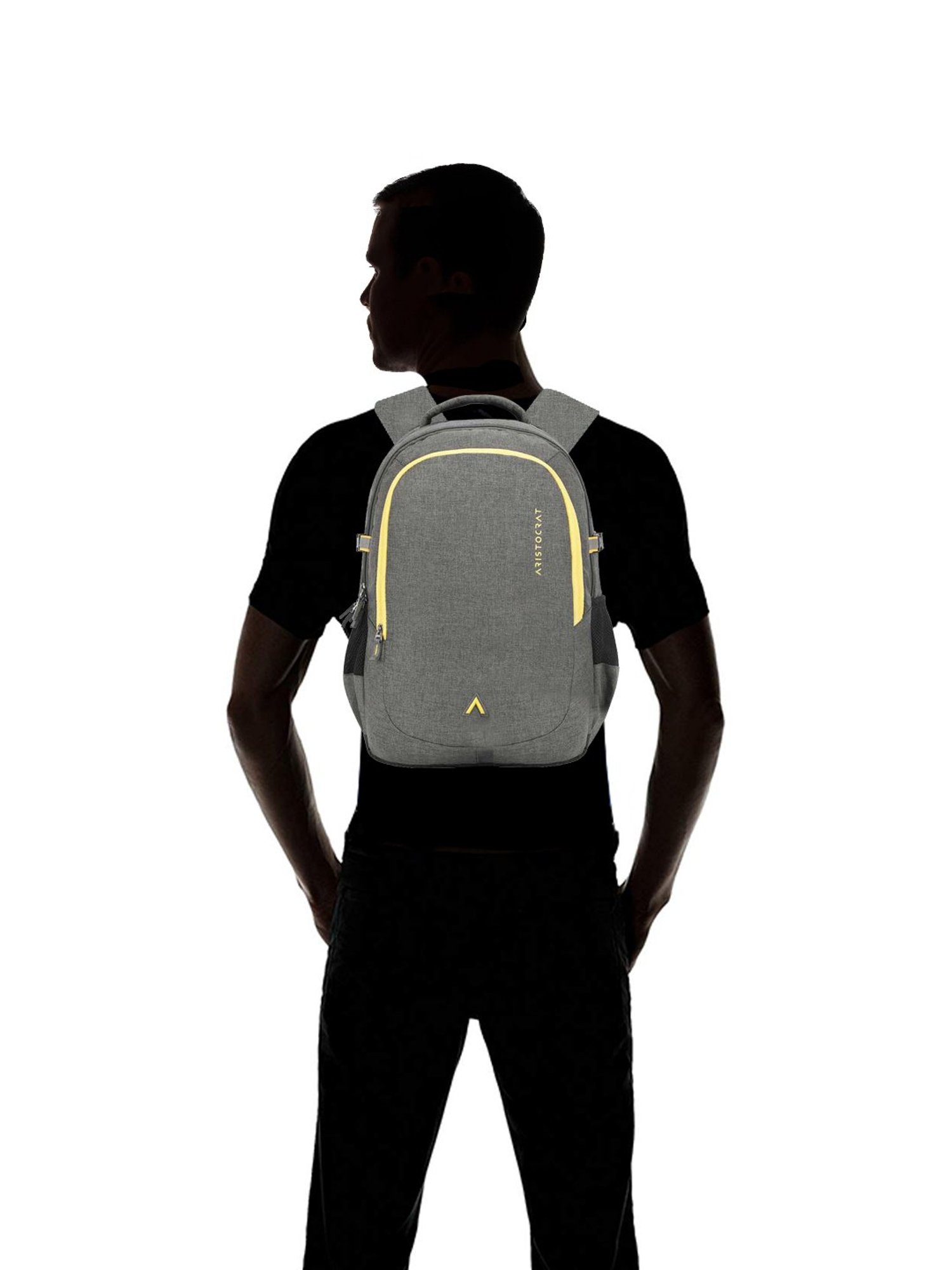 Aristocrat 32 Ltrs Grey Medium Backpack