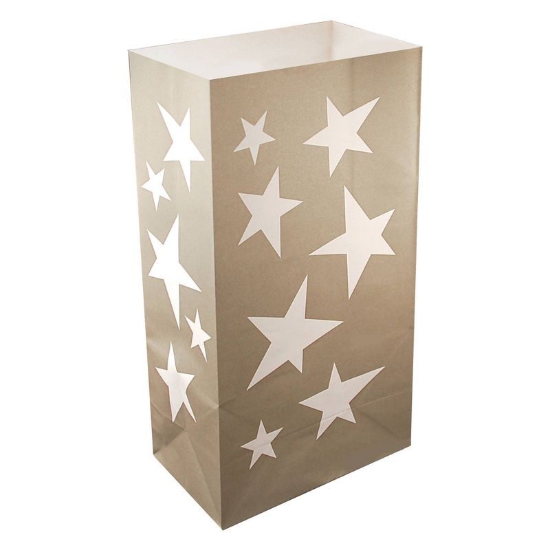 24ct Luminaria Bags Silver