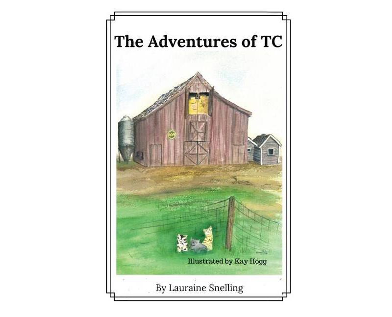 Tough Trucks - (Amazing Machines) by  Tony Mitton & Ant Parker (Paperback)