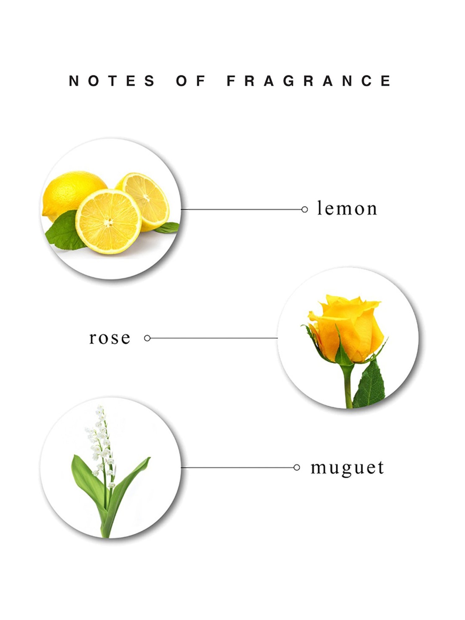 Enchanteur Charming Perfumed Deo Spray for Women - 150 ml