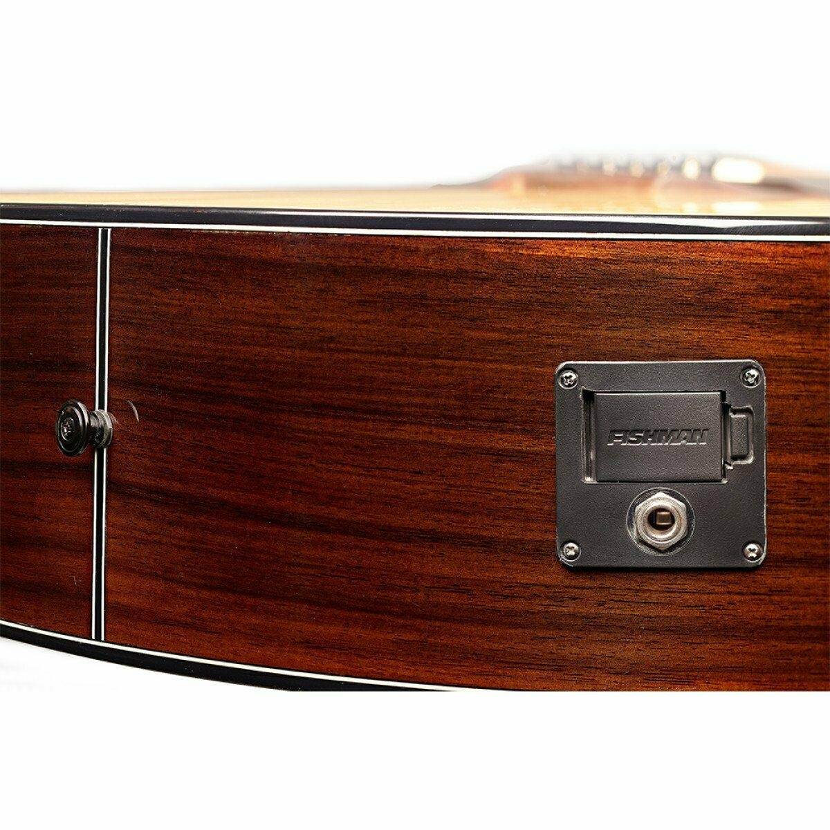 JN Guitars Lyne Series Cutaway Electric Acoustic Auditorium Guitar - LYN-ACFI