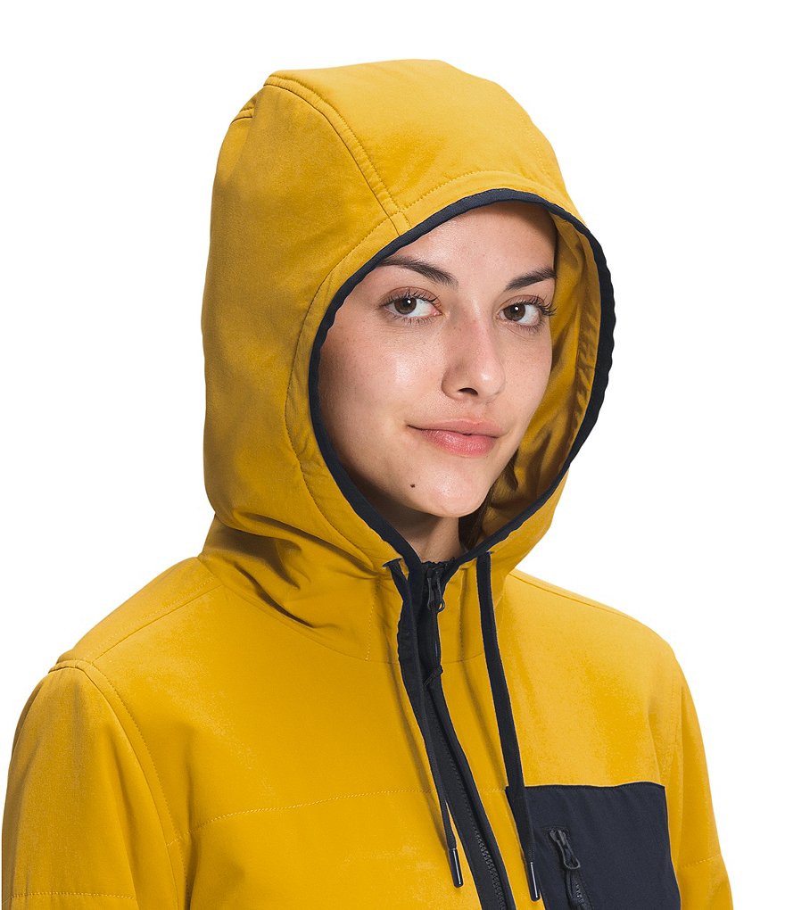 The North Face Mountain Sweatshirt Hoodie Colorblock Jacket