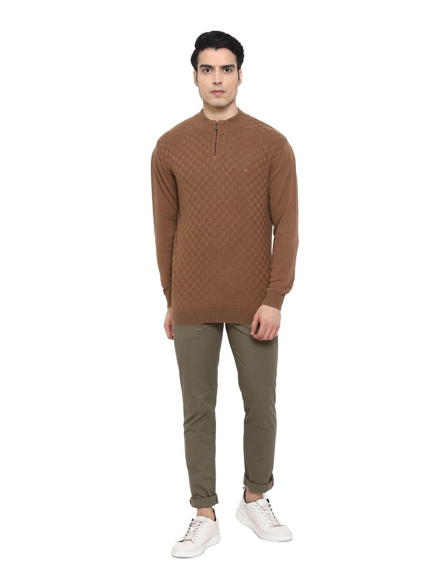 Turtle Brown Regular Fit Pullover