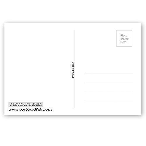 ALABAMA STATE FACTS postcard set of 20 identical postcards. Post cards with AL facts and state symbols. Made in USA.