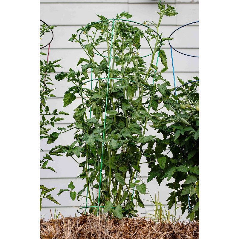 54" 5pk Heavy Duty Plant Support Evergreen - Glamos