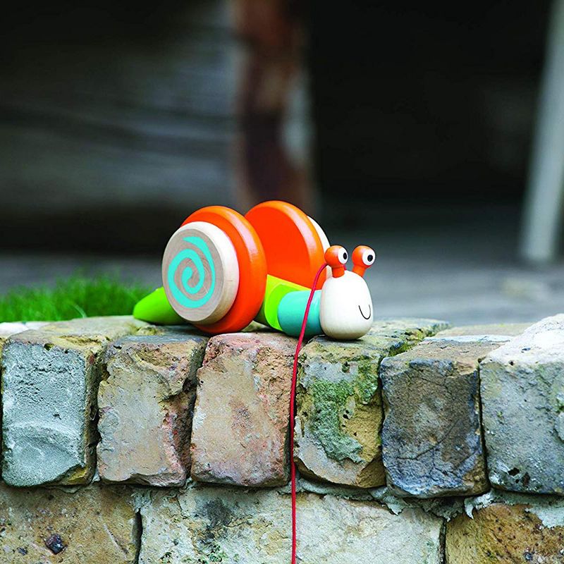 Edushape Dilly Dally Wooden Snail Pull