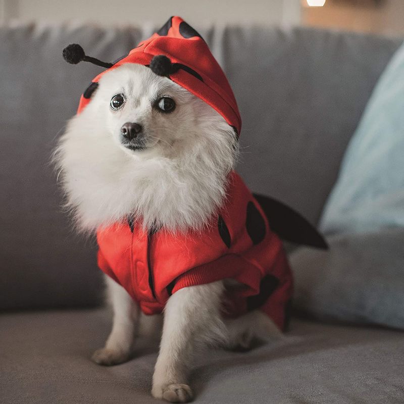 2021 The Everygirl Wall Calendar 15" x 12" Liam - Blue Sky