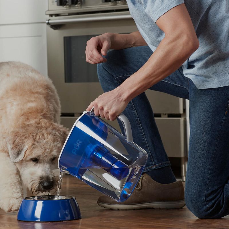 ZeroWater 8 Cup Round Water Pitcher + Free Water Quality Meter