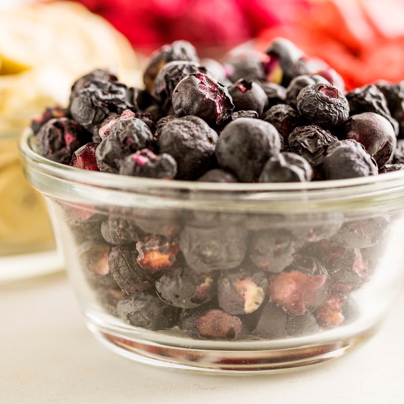 Augason Farms Freeze Dried Fruit Variety Pack Kit - 44oz Pail