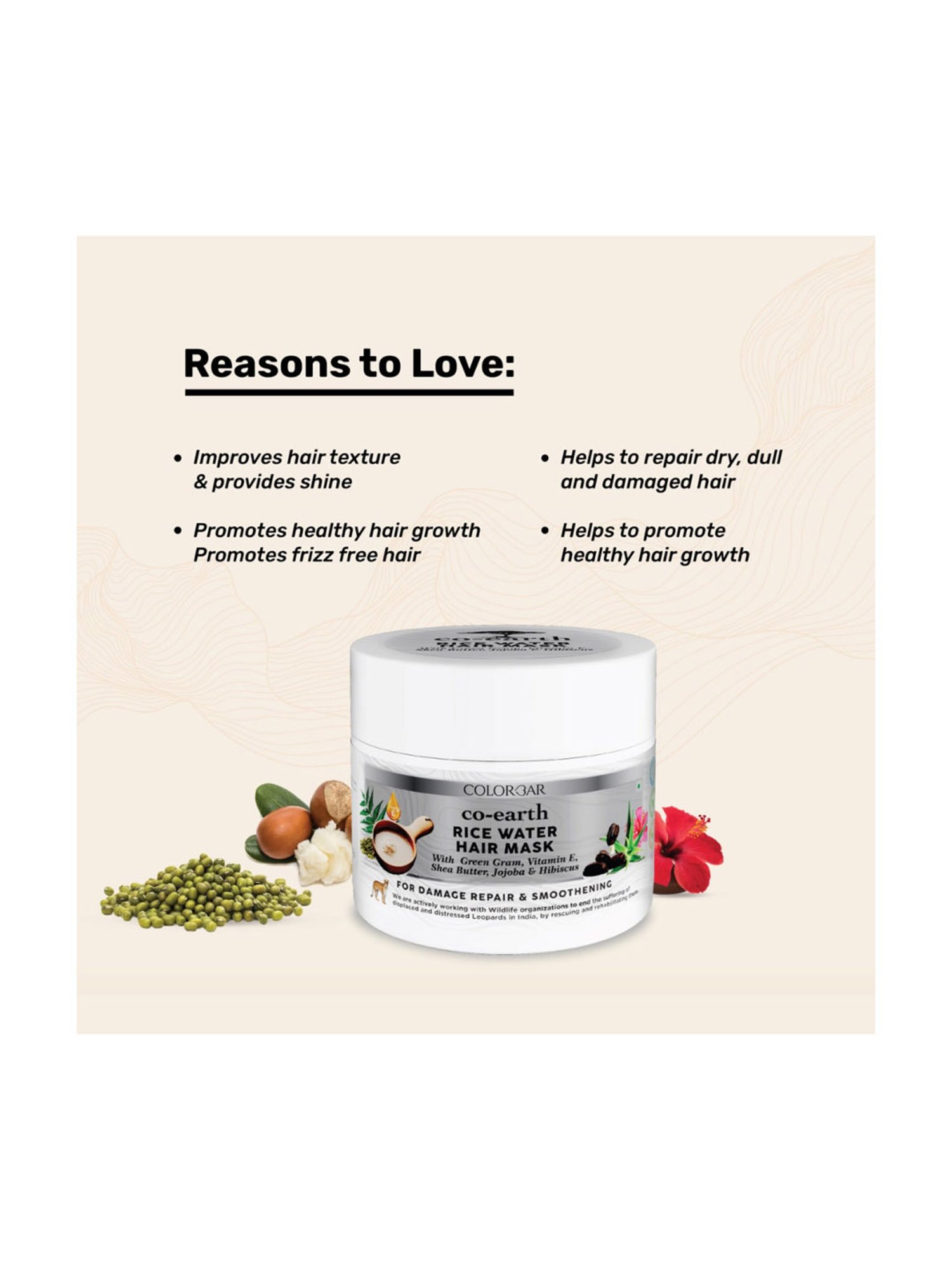 Colorbar Co-earth Rice Water Hair Mask - 200 gm