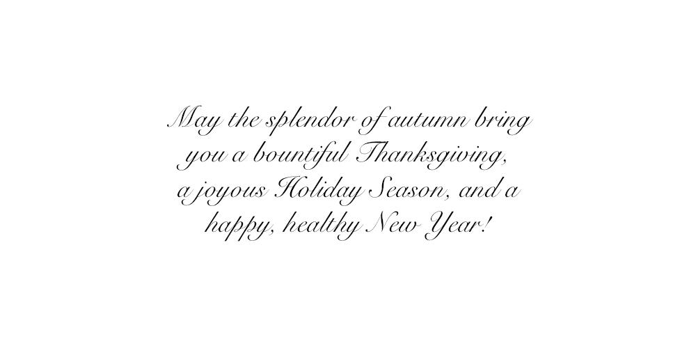 Thanksgiving Greeting Cards - Colorful Collage - CC100. Greeting Cards with a Collage of Autumn Images. Box Set has 25 Greeting Cards and 26 Pumpkin Orange Colored Envelopes.