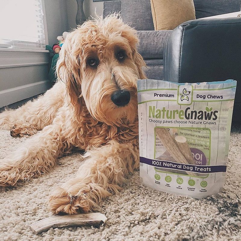 Nature Gnaws Elk Antlers 5-8" Dog Treats - 3ct