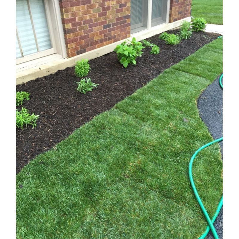 Northlight 28" Pre-Lit Burlap Squirrel with Santa Hat Christmas Outdoor Decoration