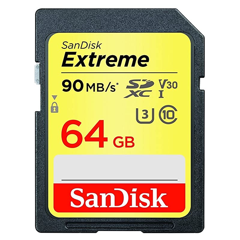64GB Extreme Memory Card works with Canon EOS Rebel SL2 T6 T6i T5i EFS EOS 80D Powershot Camera SDXC 4K V30 UHSI SDSDXVE064GGNCIN with Everything But Stromboli Combo Reader