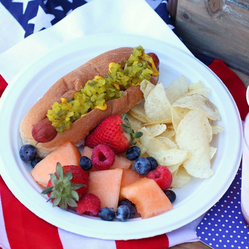 Chinet Classic White Dinner Plate - 100ct