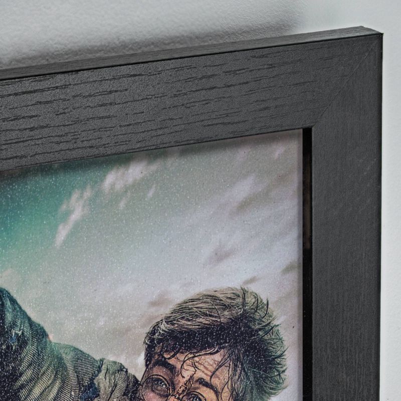 Licensed Harry Potter Deathly Hallows Wall Art Black - Crystal Art Gallery