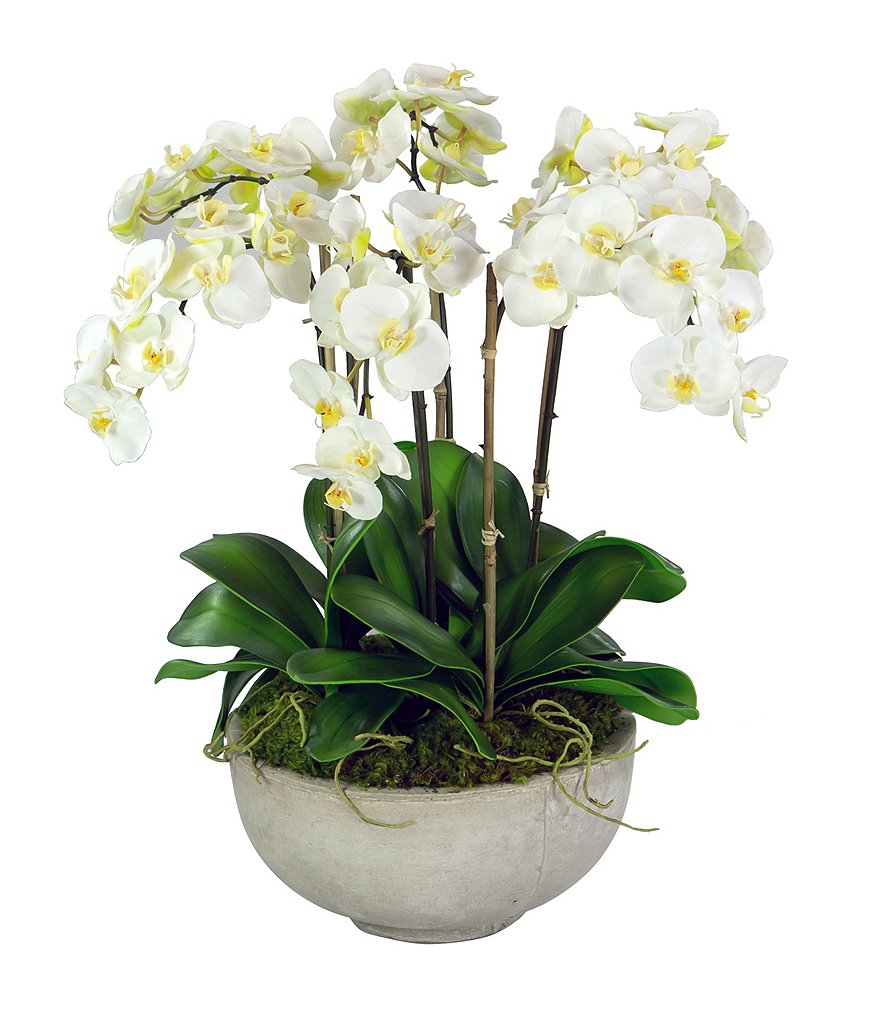 Winward Permanent Botanicals White Orchids In Ceramic Bowl