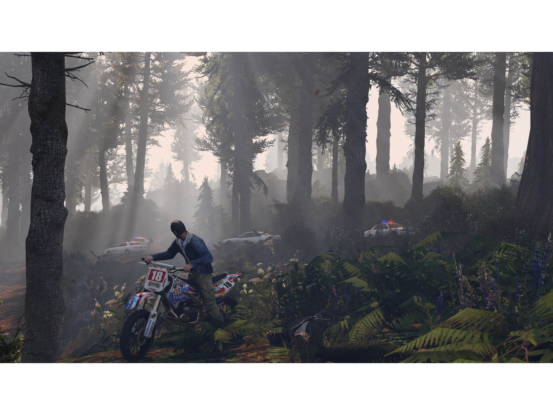 Grand Theft Auto V - PC