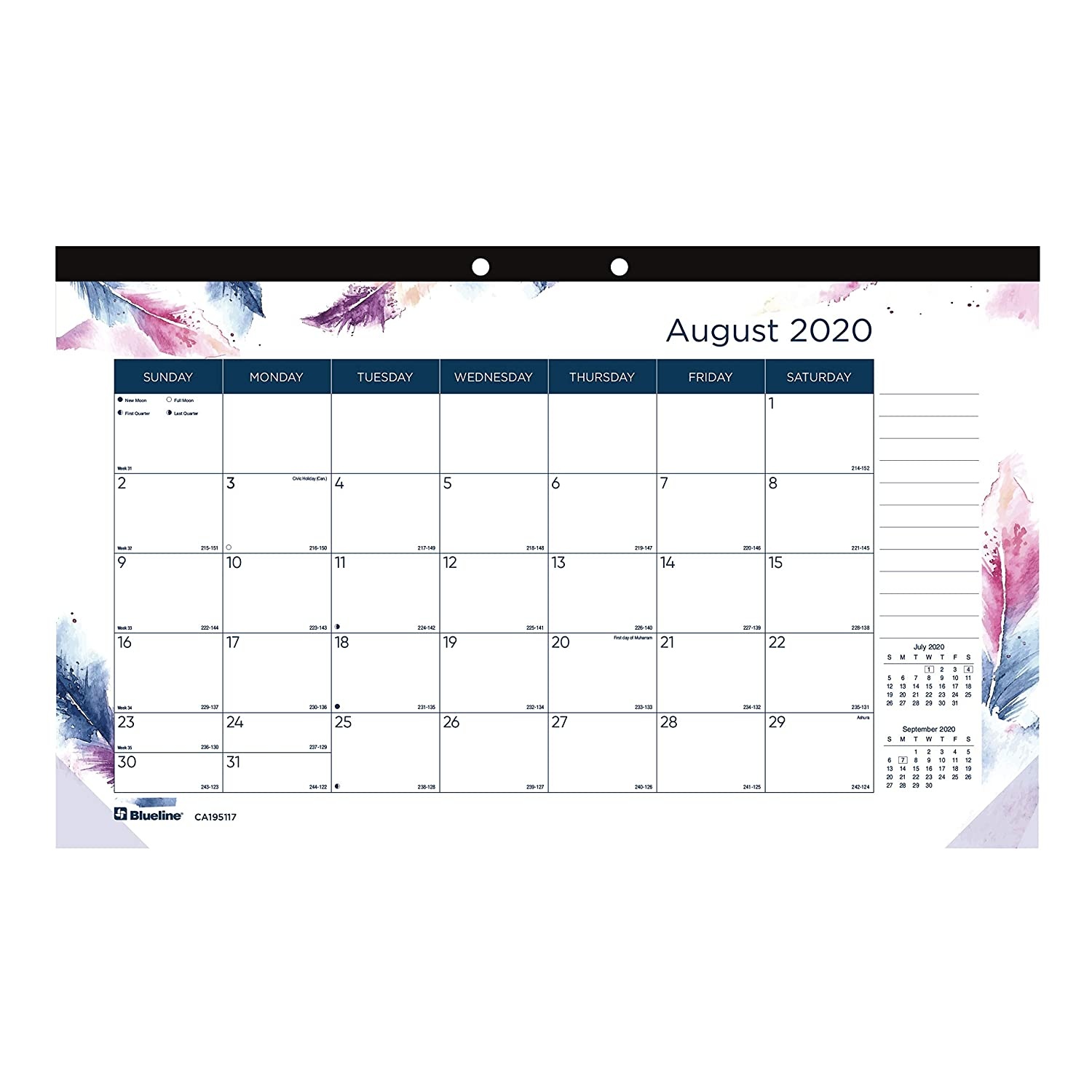 Blueline Colorful Academic Monthly Desk Pad, August 2020 to July 2021, Boho Design, 17.75 X 10.875 Inches (CA195117-21)