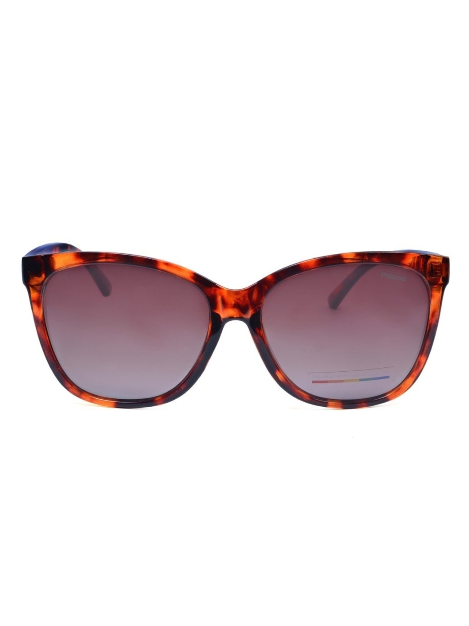 Polaroid Brown Cat Eye UV Protection Sunglasses for Women
