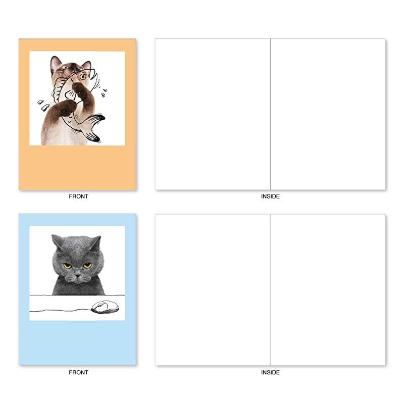 10 All Occasion Blank Cat Cards 4 x 512 Inch Cute Assorted Bulk Card Set Feline Graffiti M6583OCB