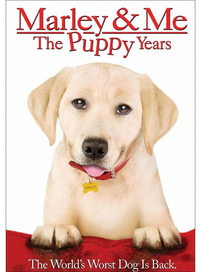 Marley & Me: The Puppy Years (dvd_video)