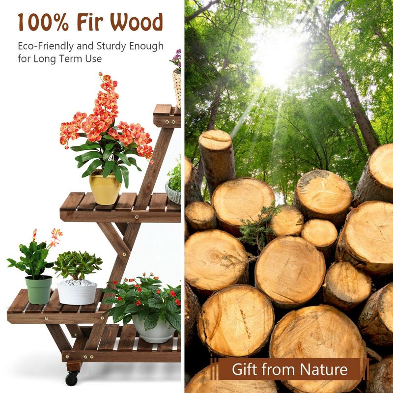 Disney Princess X POPSUGAR Moana Planters