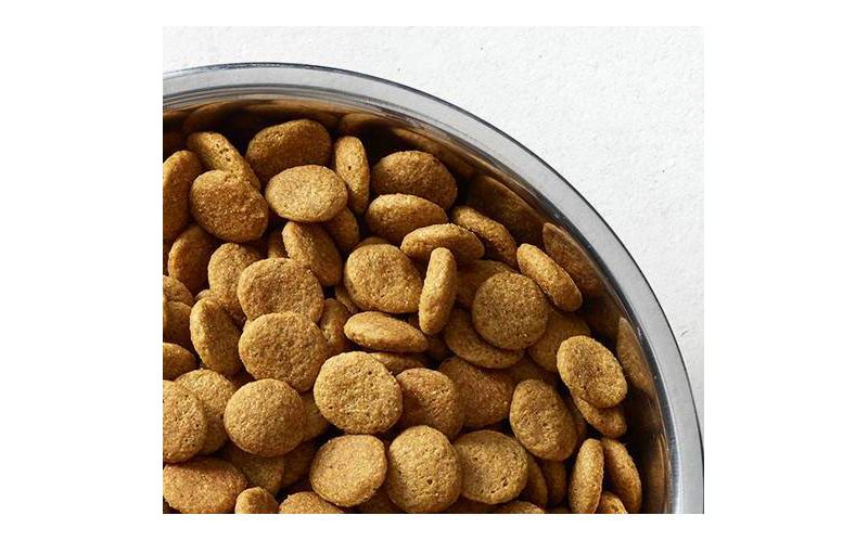 Blue Buffalo Delights Grain Free Paté Small Breed Wet Dog Food Top Sirloin & Grilled Chicken Flavors - 3.5oz/12ct Variety Pack