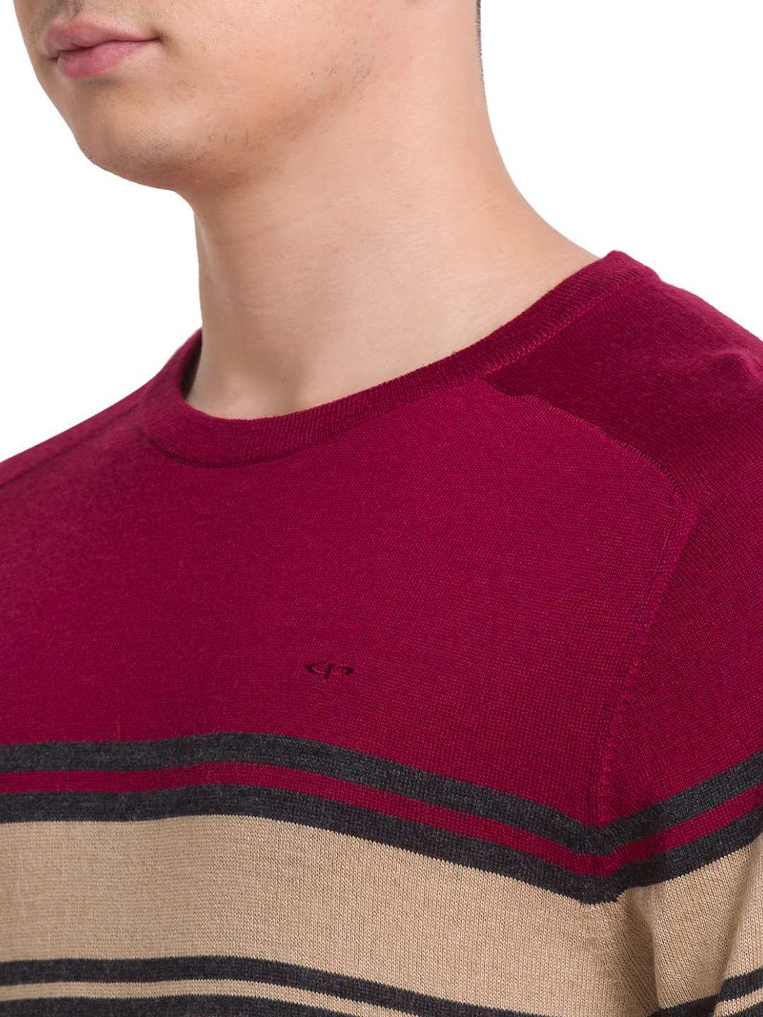 ColorPlus Beige Tailored Fit Colour Block Sweater