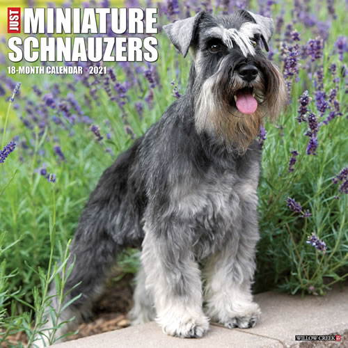 2021 Miniature Schnauzers Wall