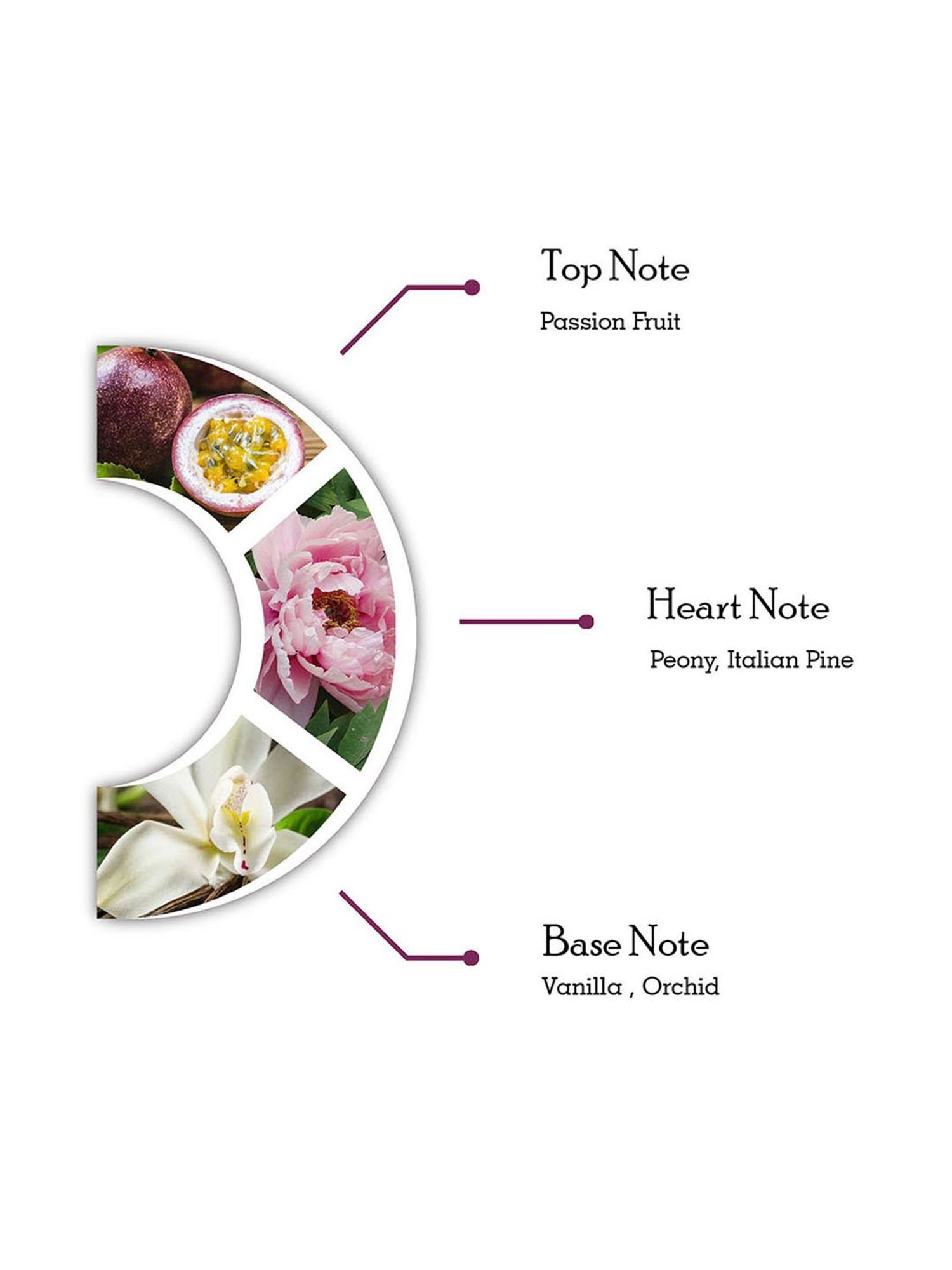 Dorall Collection Beau Monde Eau De Parfum for Women - 100 ml