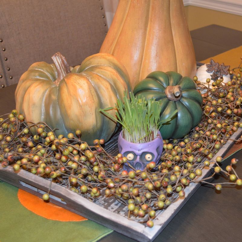 1qt Hair Growing Halloween Purple Skull Kit Barley Grass - National Plant Network