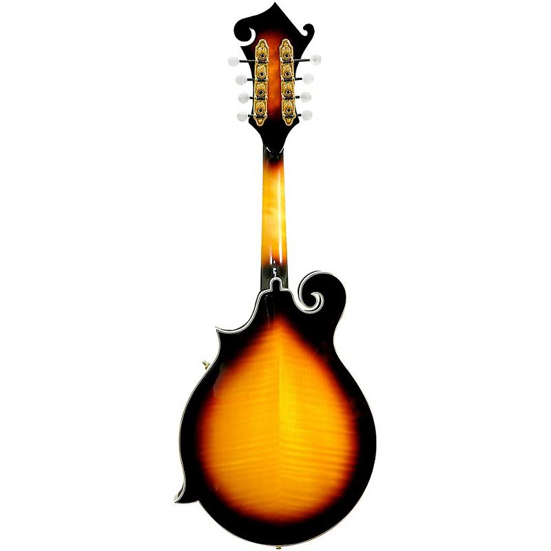 Gold Tone GM-70+ F-Style Mandolin Tobacco Sunburst