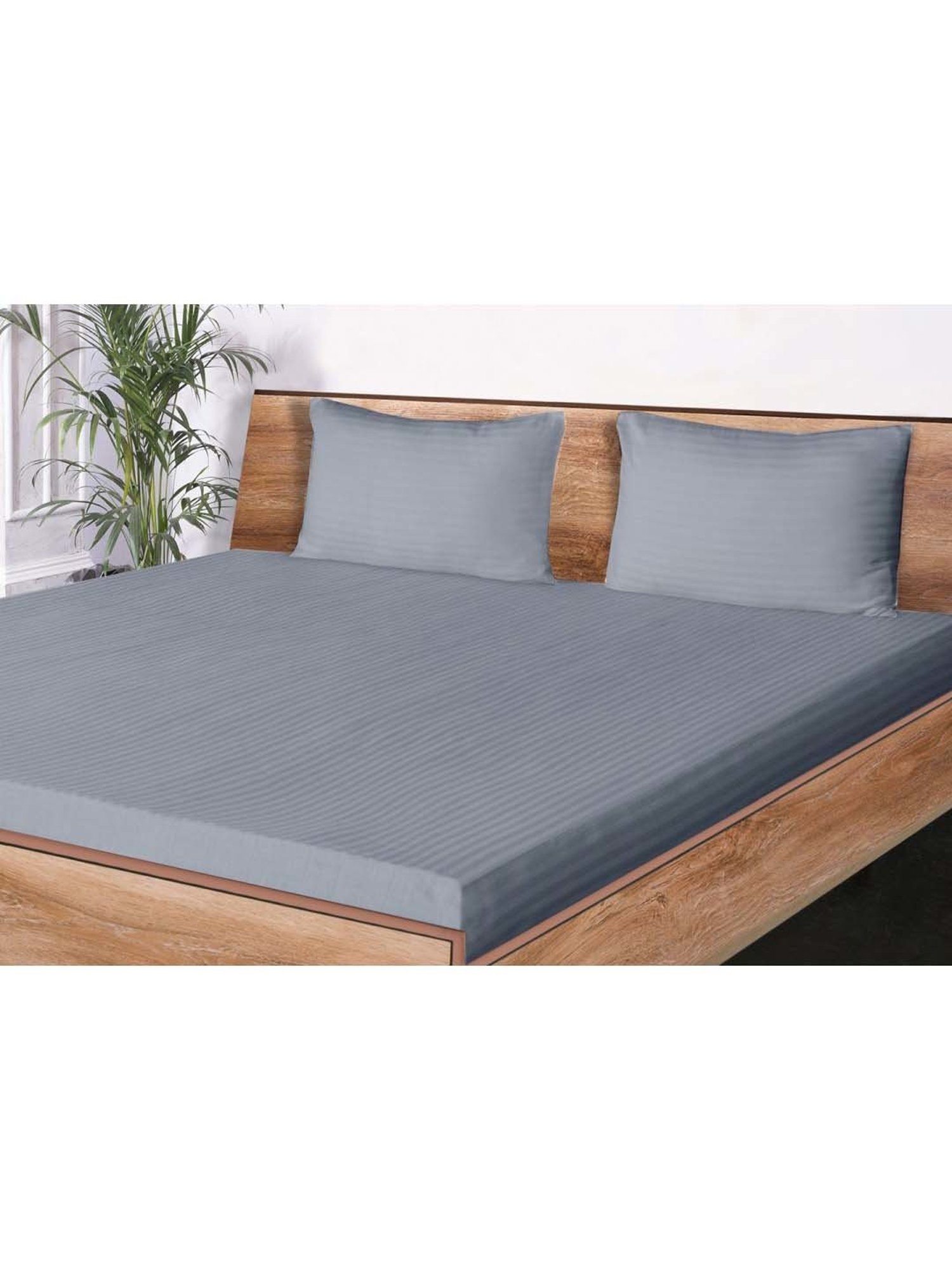 Mark Home Classic Grey Cotton 210 TC King Bedsheet with 2 Pillow Covers