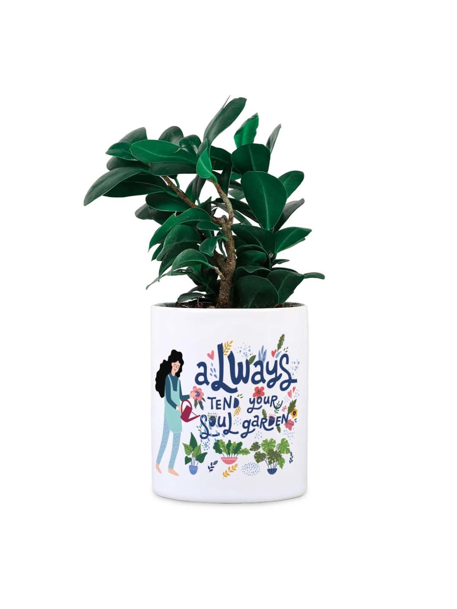 Gathari White & Blue Ceramic Desk Planter