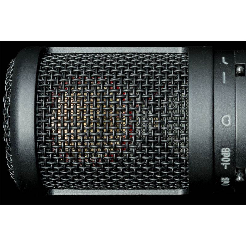 sE Electronics sE2200 Large Diaphragm Condenser Microphone