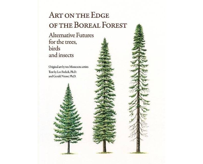 The Pumpkin Patch - (Robin Hill School) by  Margaret McNamara & Mike Gordon (Hardcover)