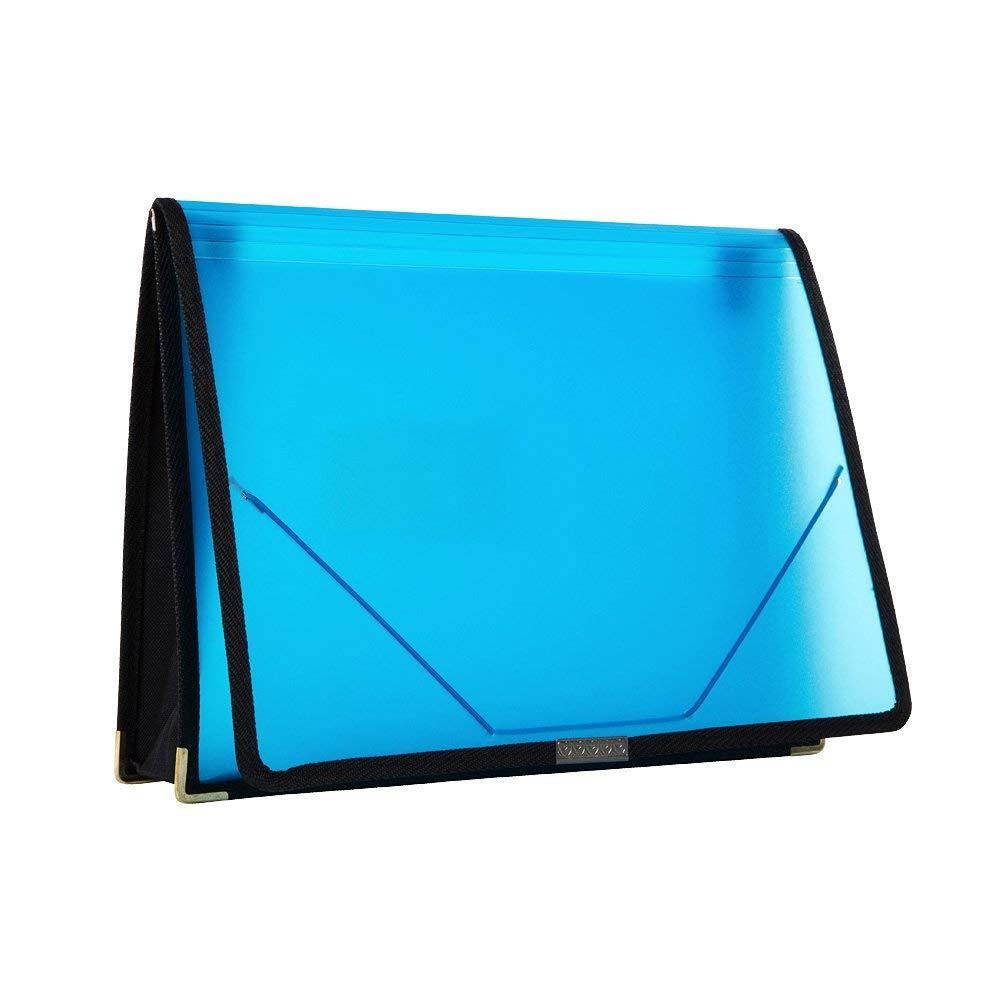 Filexec Single Pocket Expanding File, Letter, Elastic Closure, Assorted, Pack of 6 (50125-3429)