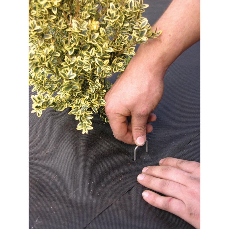 FoxFarm Happy Frog Nutrient and Ocean Forest Garden Potting Soil Mix (2 Pack)