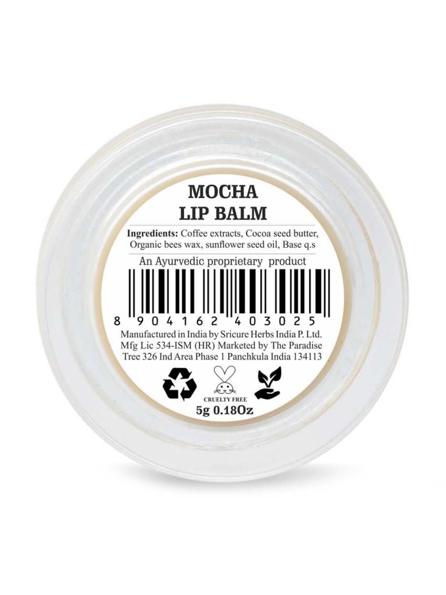 The Paradise Tree Mocha Lip Balm - 5 gm