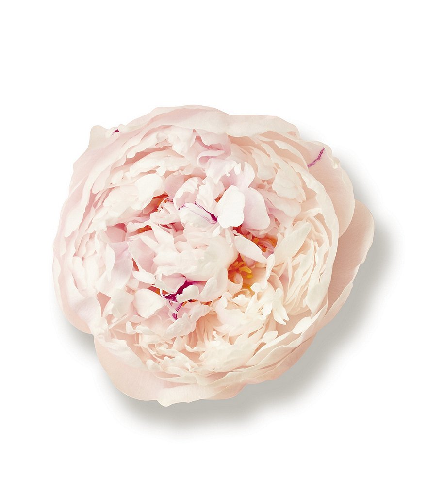 Giorgio Armani ARMANI beauty Sky di Gioia Eau de Parfum