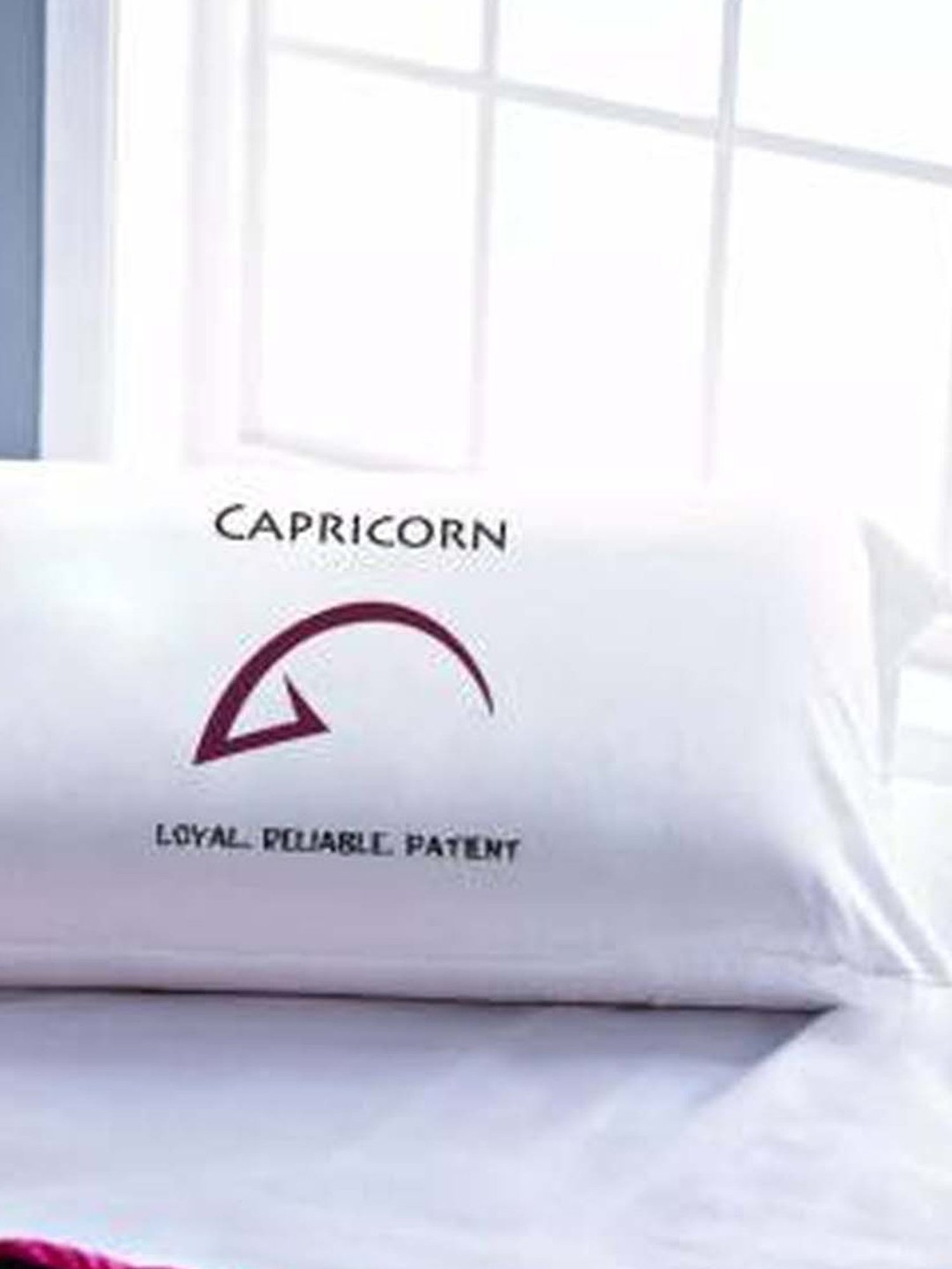 Stoa Paris White & Maroon Cotton 200 TC Pillow Cover - Set of 1