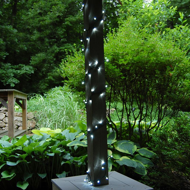 70 Lights Electric Globe String Lights LED White