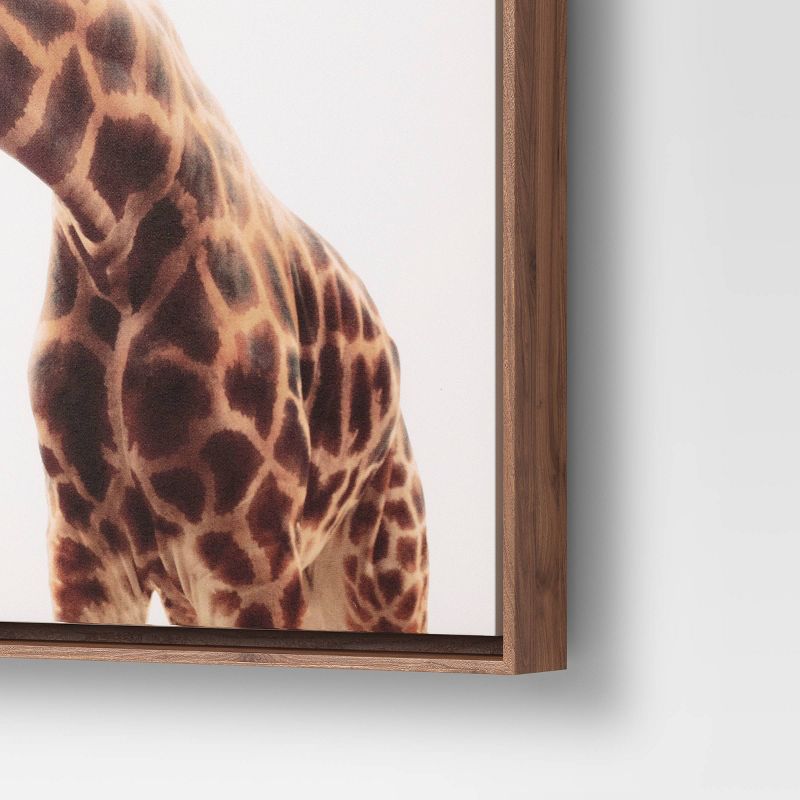 24" x 30" Giraffe Framed Wall Art Pink - Project 62™