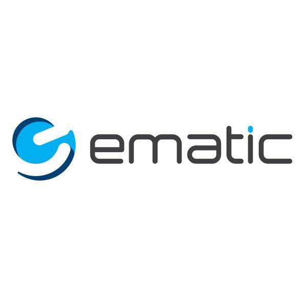 Ematic NSW Wireless Controller