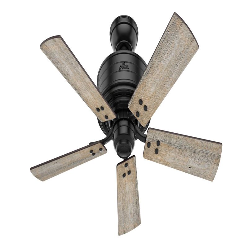 44" Cedar Key Damp Rated Ceiling Fan with Remote Black (Includes LED Light Bulb) - Hunter Fan