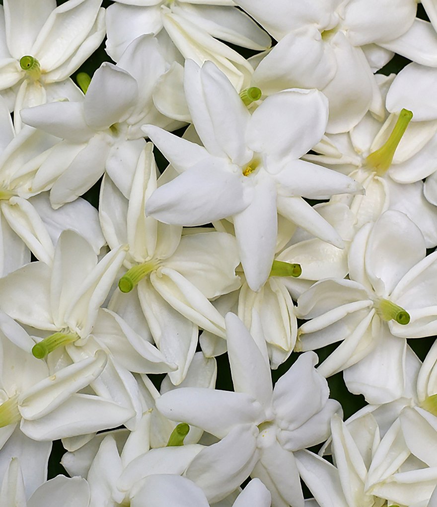 CHANEL COCO MADEMOISELLE L'EAU LIGHT FRAGRANCE MIST